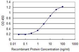 Detection limit for recombinant GST tagged CTNNB1 is 0. (CTNNB1 Antikörper  (AA 682-781))