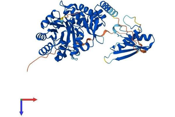 DUSL2 Protein (AA 1-493) (His tag)