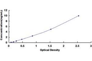 Typical standard curve (LGI3 ELISA Kit)