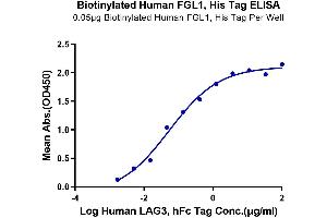ELISA image for Fibrinogen-Like 1 (FGL1) (AA 64-305) protein (His-Avi Tag,Biotin) (ABIN7274643)