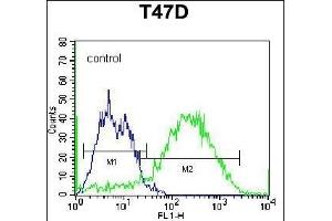 Flow Cytometry (FACS) image for anti-Syndecan 1 (SDC1) (AA 210-238), (C-Term) antibody (ABIN1539995)