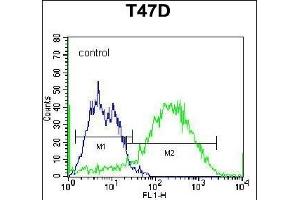 C Antibody (C-term) (Ascites) ABIN1539995 flow cytometric analysis of T47D cells (right histogram) compared to a negative control cell (left histogram). (Syndecan 1 Antikörper  (C-Term))