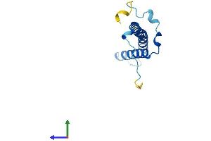AlphaFold protein structure predicition of Human Recombinant NDUFC2-KCTD14 Protein, UniprotID E9PQ53 (NDUFC2-KCTD14 Protein (AA 1-114) (His tag))