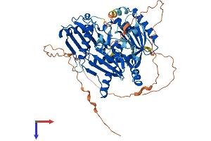 MON1B Protein (AA 1-553) (His tag)