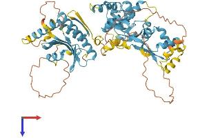 Mare/Nprl3/C16orf35 Protein (AA 1-569) (His tag)