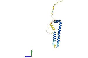 AlphaFold protein structure predicition of Human Recombinant MED28 Protein, UniprotID Q9H204