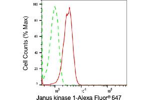 Flow cytometric analysis of Janus kinase 1 expression in HepG2 cells using Janus kinase 1 antibody (ABIN7799140), 1:2,000). (Rekombinanter JAK1 Antikörper)