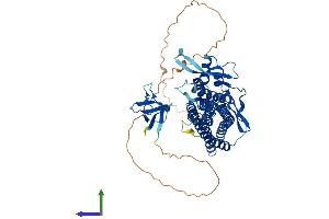AlphaFold protein structure predicition of Mouse Recombinant Snx33 Protein, UniprotID Q4VAA7