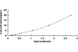 Typical standard curve (TBC1D13 ELISA Kit)