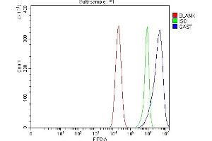 Flow Cytometry analysis of Caco-2 cells using anti-Gastrin/GAST antibody (ABIN7603052).