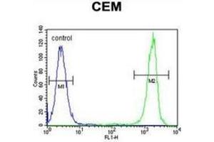 Flow cytometric analysis of CEM cells (right histogram) compared to a negative control cell (left histogram) using NUDT22  Antibody (C-term), followed by FITC-conjugated goat-anti-rabbit secondary antibodies. (NUDT22 Antikörper  (C-Term))