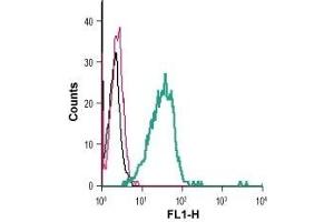 Cell surface detection of TREM2 in live intact mouse BV-2 microglia cells: (black line) Cells. (TREM2 Antikörper  (Extracellular) (FITC))