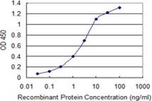 Detection limit for recombinant GST tagged KIT is 0. (KIT Antikörper  (AA 41-140))