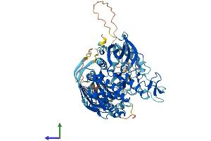 Protein Structure (PS) image for Protein Kinase C, eta (PRKCH) (AA 1-683) protein (His tag) (ABIN7562975)
