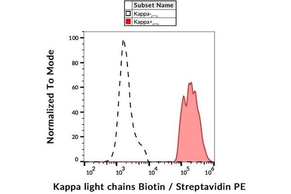 kappa Light Chain Antikörper  (Biotin)