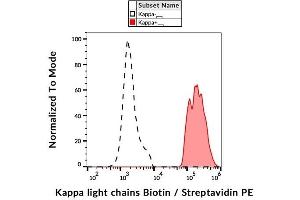 Surface staining of kappa light chains in human peripheral blood cells with anti-kappa light chains (TB28-2) biotin, streptavidin-PE. (kappa Light Chain Antikörper  (Biotin))