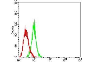 Flow cytometric analysis of HL-60 cells using CD30 mouse mAb (green) and negative control (red). (TNFRSF8 Antikörper  (AA 19-379))