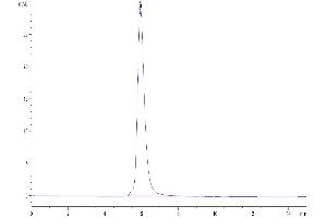 The purity of Biotinylated Human M-CSF R is greater than 95 % as determined by SEC-HPLC. (CSF1R Protein (His-Avi Tag,Biotin))