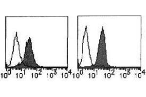 Flow Cytometry (FACS) image for anti-MHC Class I Polypeptide-Related Sequence A (MICA) antibody (ABIN1108244) (MICA Antikörper)