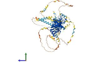 AlphaFold protein structure predicition of Human Recombinant APBB1IP Protein, UniprotID Q7Z5R6