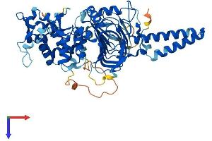TBCCD1 Protein (AA 1-552) (His tag)