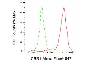 Flow cytometric analysis of CBR1 expression in HepG2 cells using CBR1 antibody (ABIN7797873), 1:2,000). (CBR1 Antikörper)