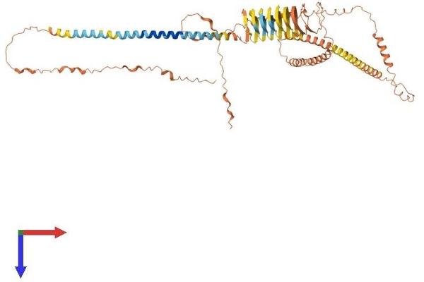 Involucrin Protein (IVL) (AA 1-585) (His tag)