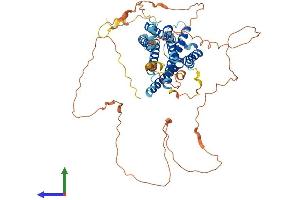 Protein Structure (PS) image for G Protein-Coupled Receptor 123 (GPR123) (AA 1-578) protein (His tag) (ABIN7559134)