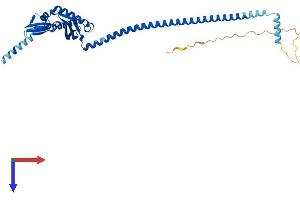 ERLIN2 Protein (AA 1-340) (His tag)