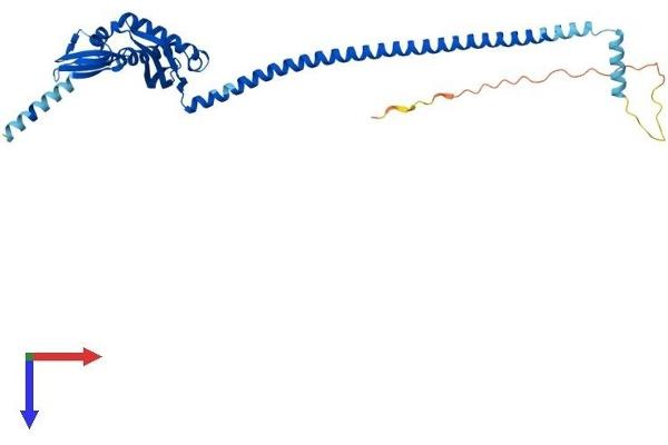 ERLIN2 Protein (AA 1-340) (His tag)