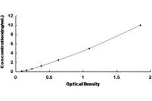 Typical standard curve (ATP1B1 ELISA Kit)