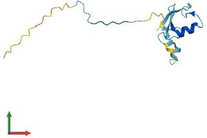 Protein Structure (PS) image for Ring-Box 1, E3 Ubiquitin Protein Ligase (RBX1) (AA 1-108) protein (His tag) (ABIN7563501)