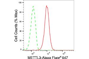 Flow cytometric analysis of METTL3 expression in HepG2 cells using METTL3 antibody (ABIN7799400), 1:2,000). (Rekombinanter METTL3 Antikörper)