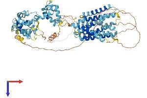 SLC39A12 Protein (AA 1-691) (His tag)