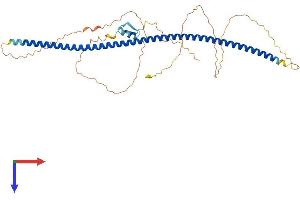 ZNF365 Protein (AA 1-407) (His tag)