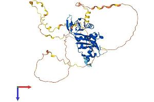 Chromosome 6 Open Reading Frame 134 (C6orf134) (AA 1-421) protein (His tag)
