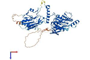 B4GALNT2 Protein (AA 1-566) (His tag)