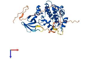 TRIB3 Protein (AA 1-354) (His tag)