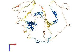 NUSAP1 Protein (AA 1-441) (His tag)
