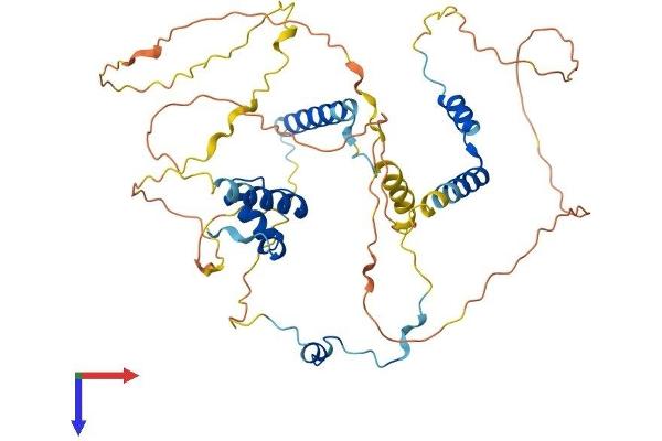 NUSAP1 Protein (AA 1-441) (His tag)