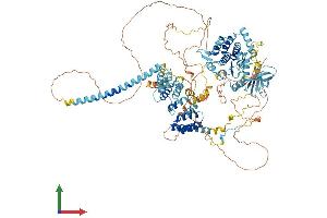 Protein Structure (PS) image for Budding Uninhibited By Benzimidazoles 1 Homolog beta (Yeast) (BUB1B) (AA 1-1052) protein (His tag) (ABIN7565280)