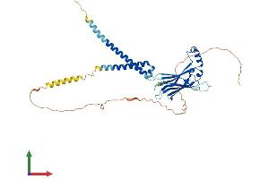 Protein Structure (PS) image for Berardinelli-Seip Congenital Lipodystrophy 2 (Seipin) (BSCL2) (AA 1-398) protein (His tag) (ABIN7552683)