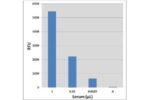 Glucose detection in human serum using the Glucose Assay Kit (Fluorometric). (Glucose Assay Kit (Fluorometric))