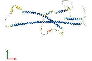AlphaFold protein structure predicition of Mouse Recombinant Cdr2 Protein, UniprotID P97817 (CDR2 Protein (AA 1-455) (His tag))