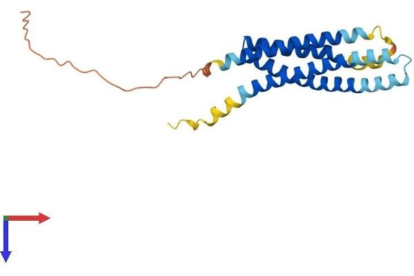 MS4A3 Protein (AA 1-214) (His tag)