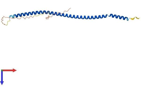 MCEMP1 Protein (AA 1-183) (His tag)