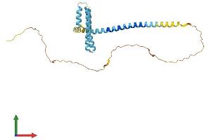 AlphaFold protein structure predicition of Mouse Recombinant Reep4 Protein, UniprotID Q8K072