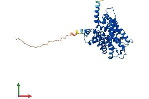 Protein Structure (PS) image for Solute Carrier Family 14 (Urea Transporter), Member 1 (Kidd Blood Group) (SLC14A1) (AA 1-389) protein (His tag) (ABIN7555978)