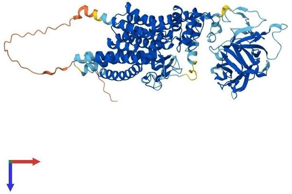 POMT2 Protein (AA 1-750) (His tag)