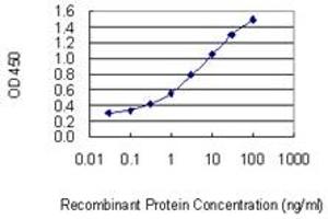 Detection limit for recombinant GST tagged C13orf15 is 0. (RGC32 Antikörper  (AA 1-117))